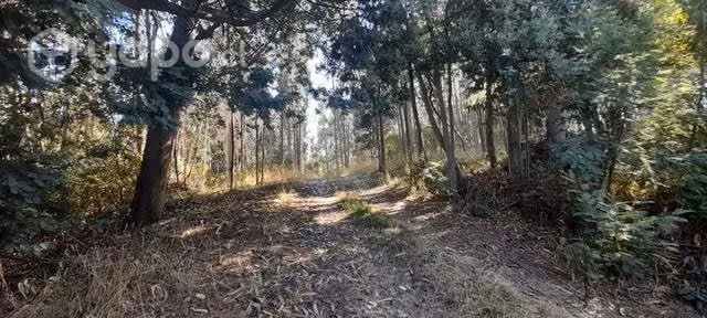 Se vende terreno
