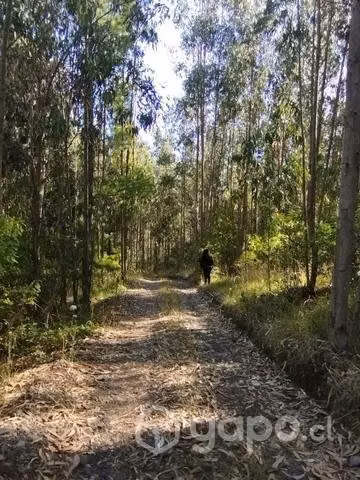 Se vende terreno
