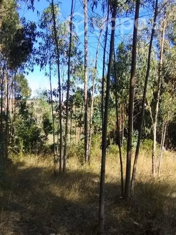 Se vende terreno