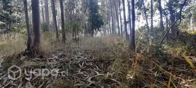 Se vende terreno