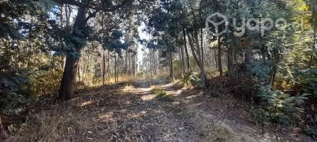 Se vende terreno