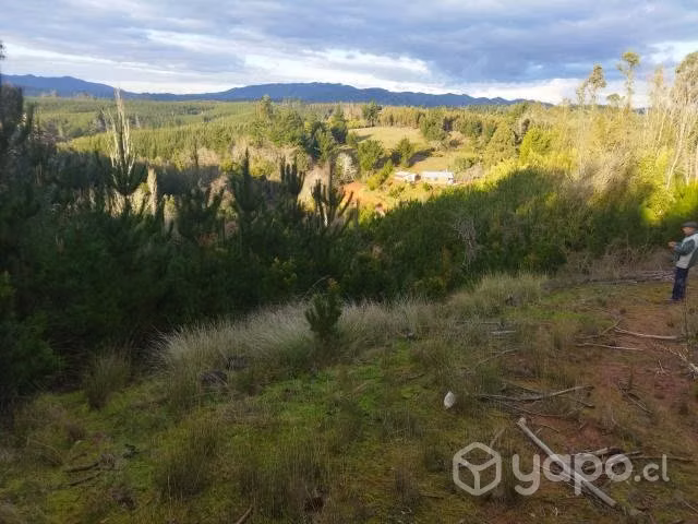 Parcela - Imagen 2