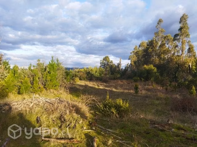 Parcela - Imagen 5