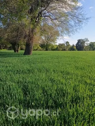 Parcela en venta
