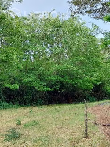 Parcela en venta