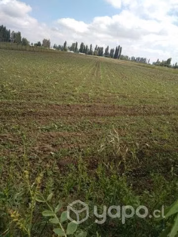 Terreno