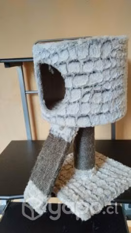 Rascador para gatitos