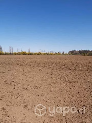 Terreno para cultivos anuales