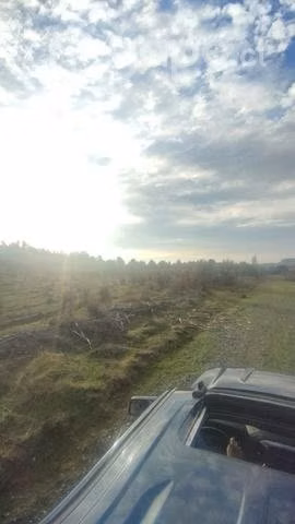 Parcela BULNES