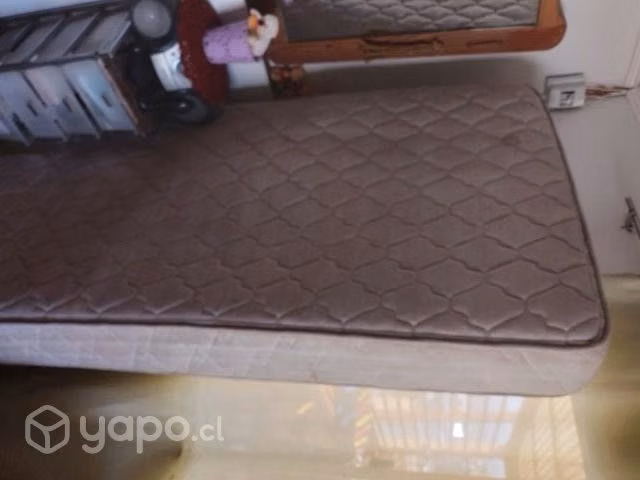 Cama