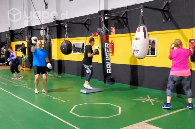 Entrenador o monitor de boxeo olímpico