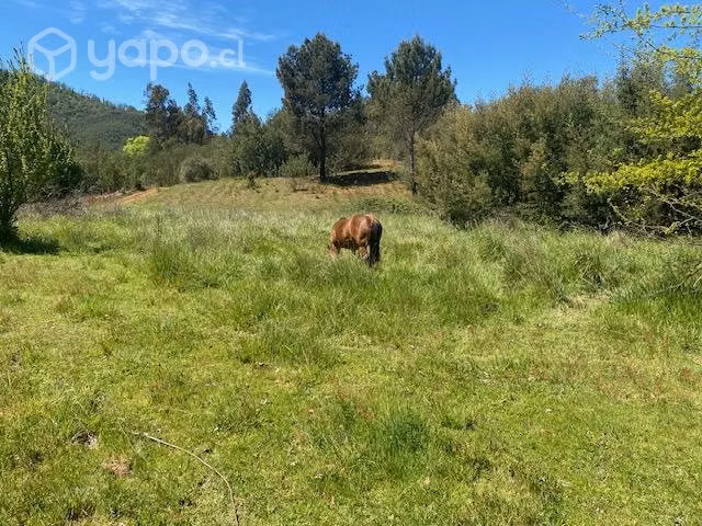 Sitios de 200 m2 .Ubicación, Comina Ránquil Ñuble