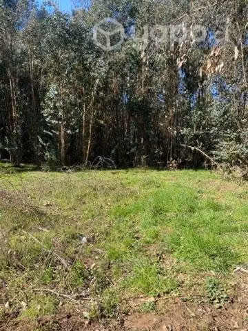 Terreno en talca - Imagen 4
