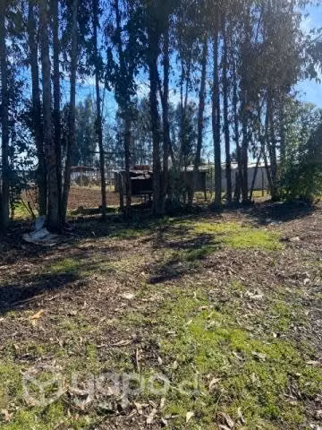 Terreno en talca - Imagen 13