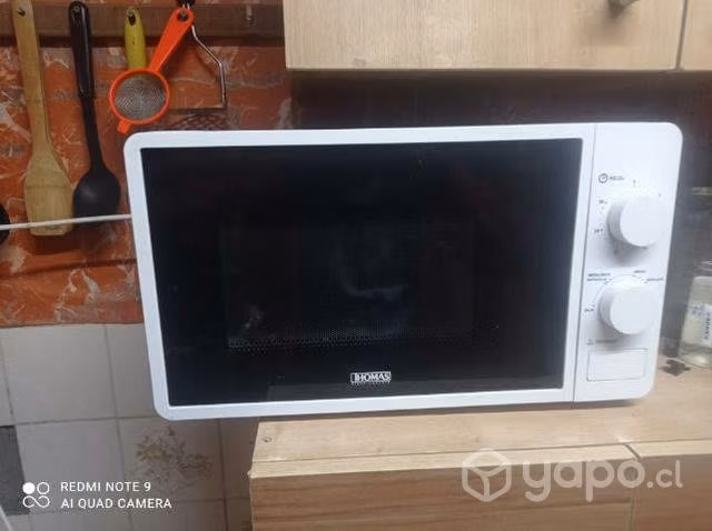 Microondas Thomas