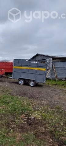 Carro para cabañlos