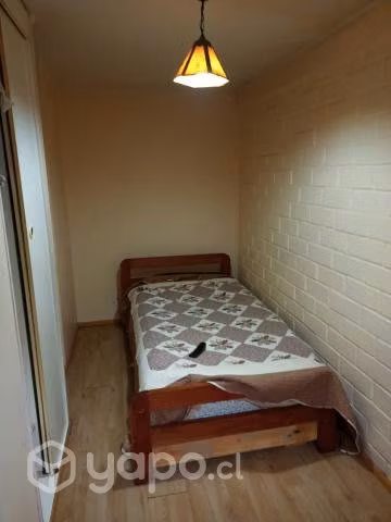 Ciudad de Valdivia arriendo exclusivamente