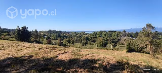 Parcela con vista lago Puyehue