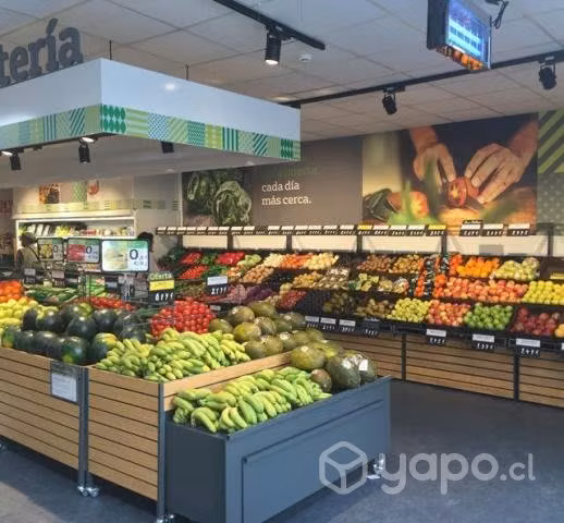 Distribuidora de productos del sur en Concepción