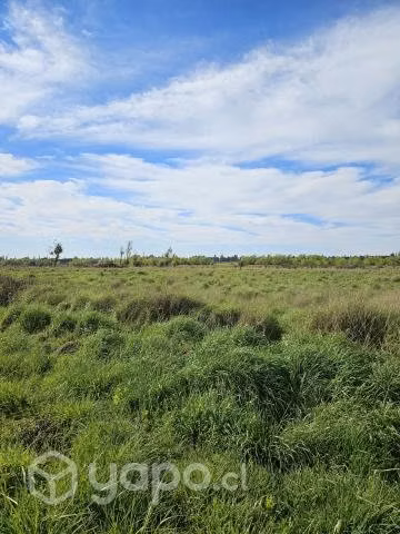 Terreno parcela de 1 hectárea Parral