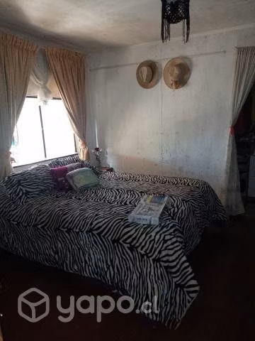 Vendo propiedad con 2 casas 19x25 sector centro