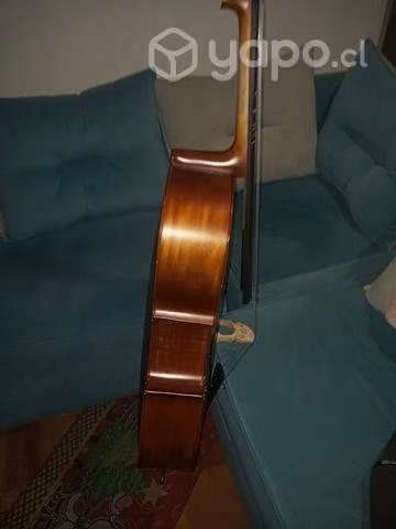 Violoncelo - Imagen 2