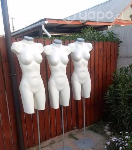Maniquies torsos