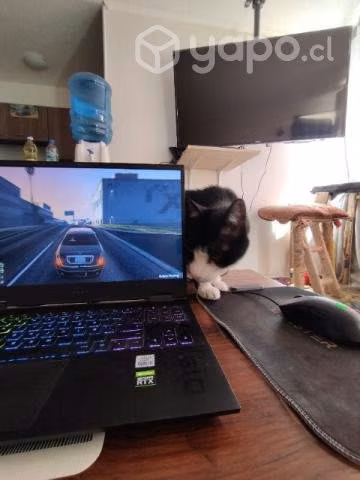 Notebook hp omen 15