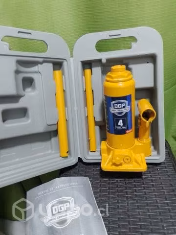 Gata botella
