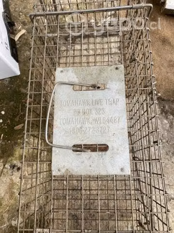 Jaula trampa