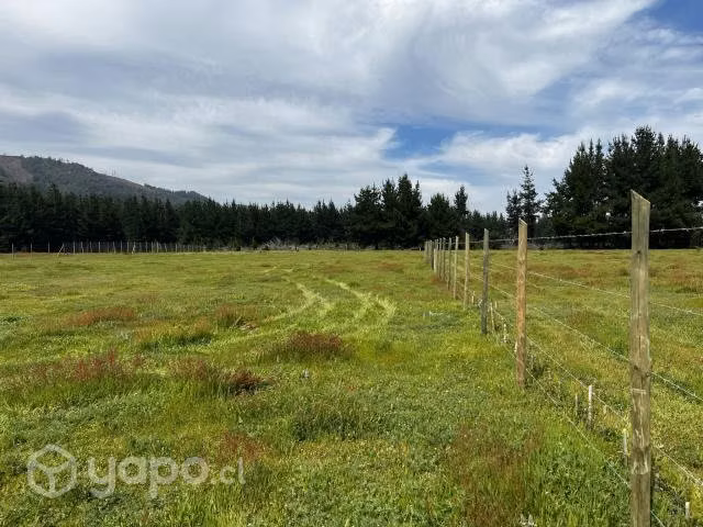 Se vende parcela de agrado 5000m2 - Imagen 3