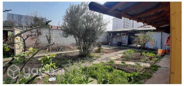 Comercial,Casa Antigua Gran Terreno 500 Mtrs2, - Imagen 8