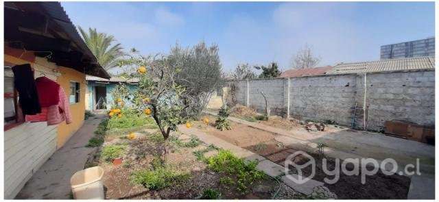Comercial,Casa Antigua Gran Terreno 500 Mtrs2, - Imagen 6