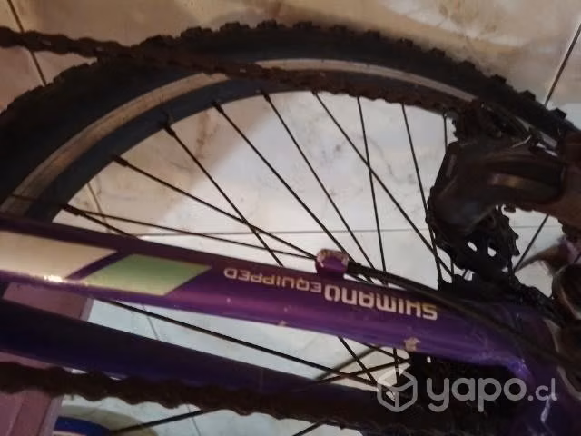 Bicicleta aro 24