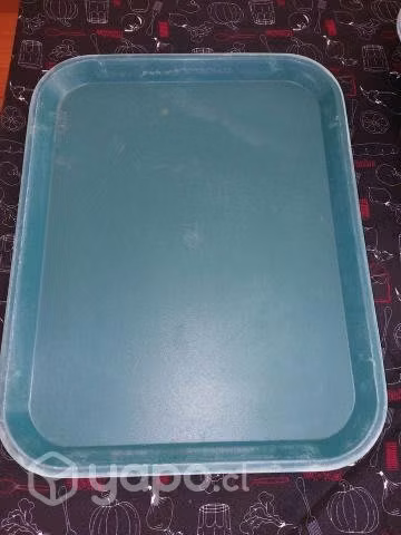 Bandejas Autoservicio de plastico