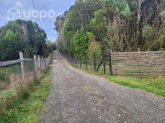 Parcela de 5000m2 cerca de Ancud - Imagen 4