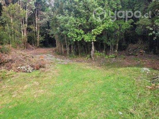 Parcela de 5000m2 cerca de Ancud - Imagen 5