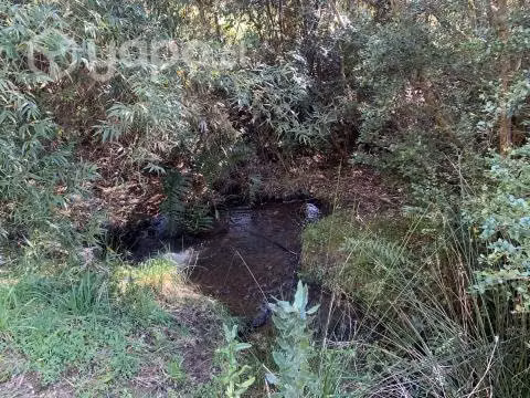 Hermosa parcela camino real a 15 minutos osorno