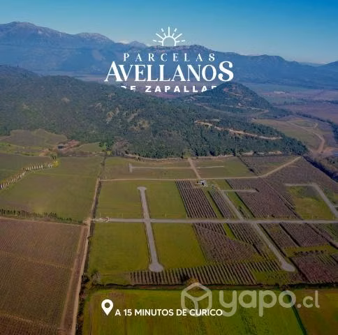 Parcelas Avellanos de Zapallar