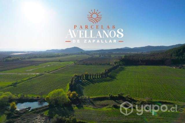 Parcelas Avellanos de Zapallar - Imagen 2