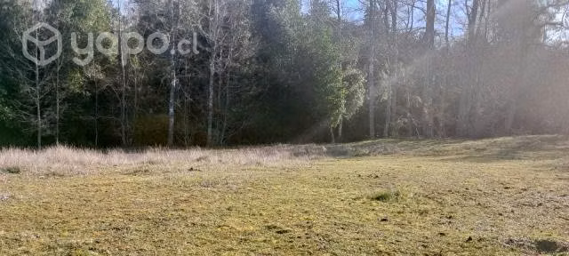 Terreno cerca de Cunco - Imagen 9