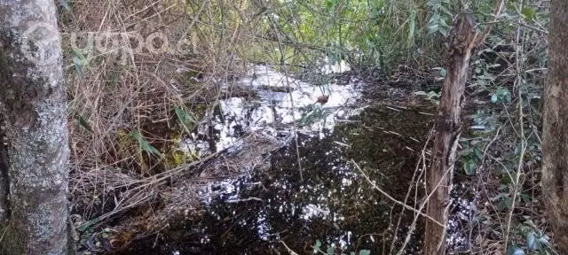 Terreno cerca de Cunco - Imagen 3
