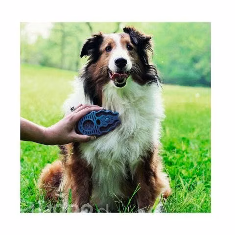 Kong Zoom Groom - Imagen 3