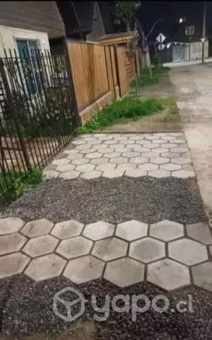 Pastelon hexagonal