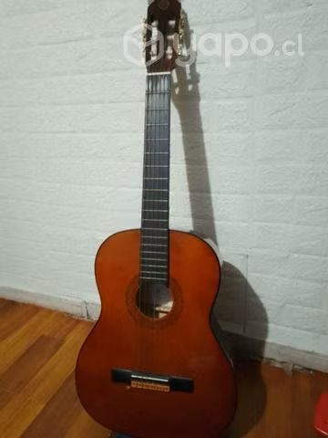 Guitarra Eko