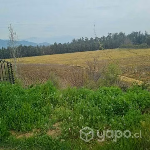 Parcela en Camino Lonquen, Talagante
