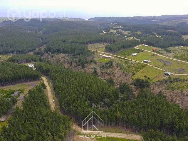 5.000M² - Loteo Alto Colorado - Pichilemu