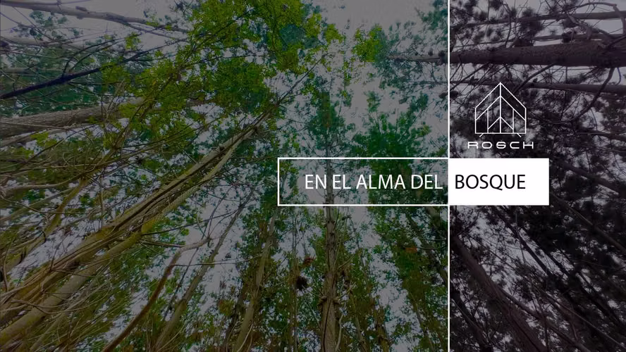 5.000M² - Loteo Alto Colorado - Pichilemu