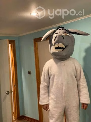 Cabeza de burro de shek