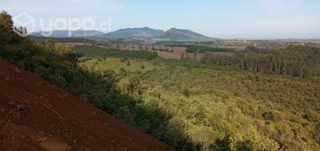 Parcela de 5000m2
